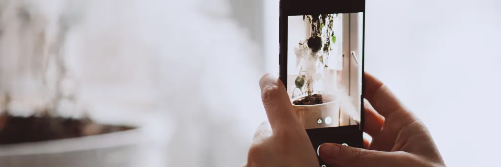 写真でミニマリスト収納